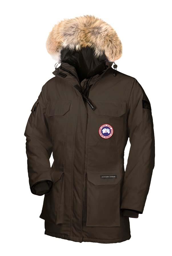canada goose printemps