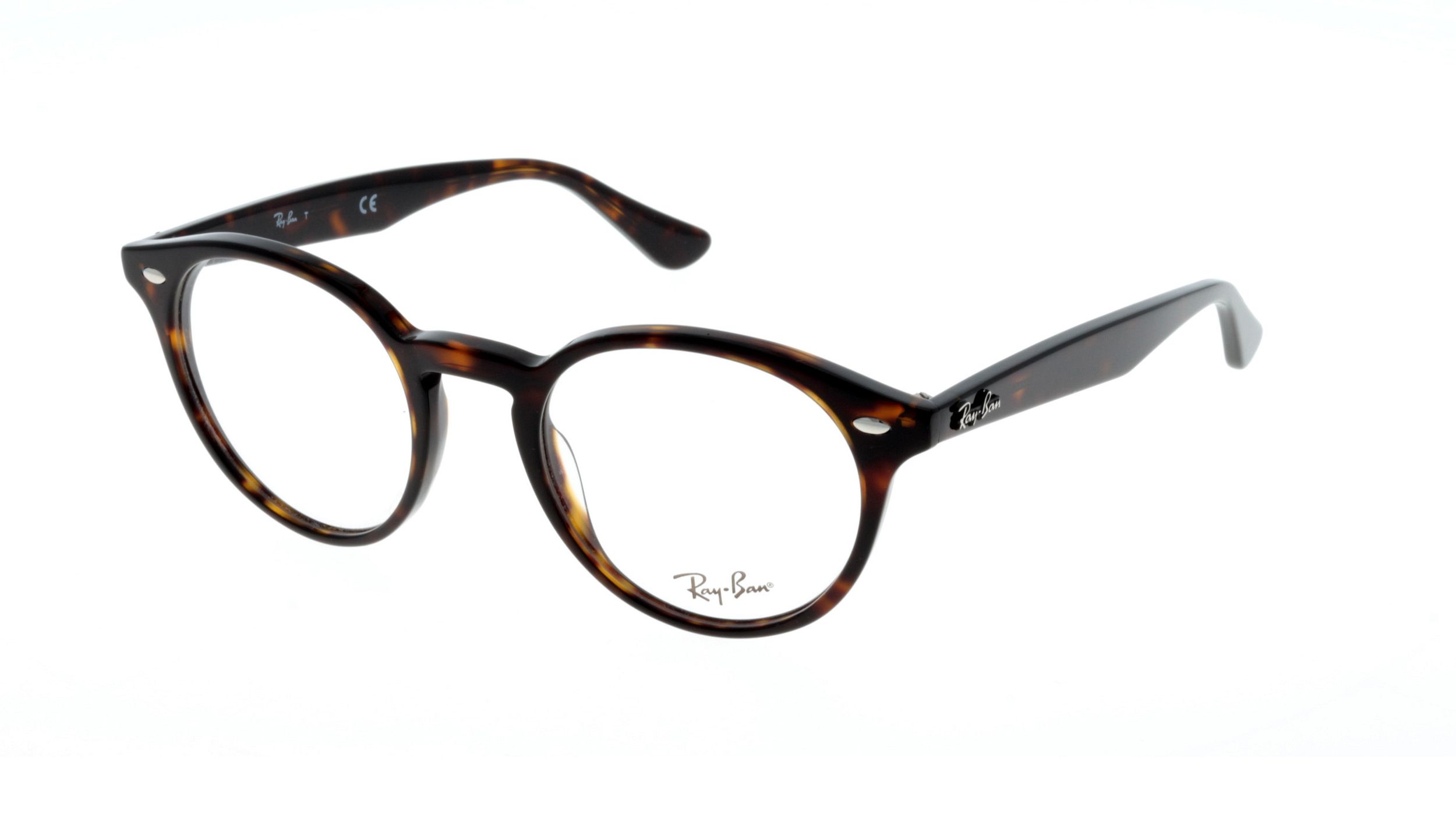 monture lunette ray ban femme